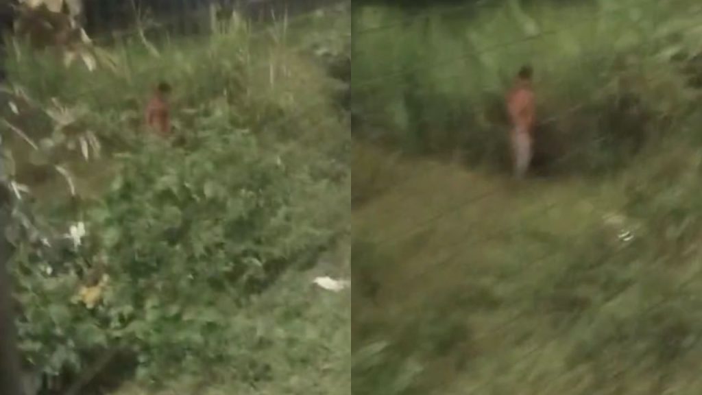 Vídeo: Homem é flagrado no mato se m4stub@ndo para todas as mulheres que passavam pela rua no Novo Aleixo