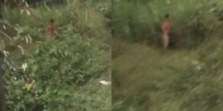 Vídeo: Homem é flagrado no mato se m4stub@ndo para todas as mulheres que passavam pela rua no Novo Aleixo