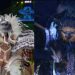 Veja Isabelle se transformando em gavião real e Marciele em uma águia durante performance em Parintins