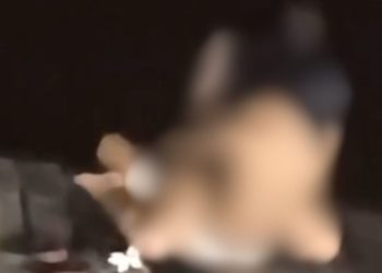 VÍDEO: Em Parintins, 'boto' é flagrado fazendo mais uma vítima na beira do Rio Amazonas