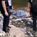 Em menos de 24h, bombeiros retiram terceiro corpo perto da Praia da Ponta Negra