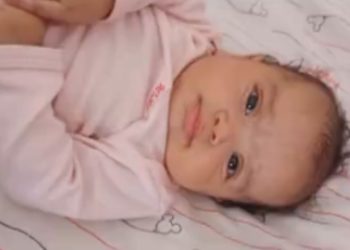 Vira-lata ataca e mata bebê que foi deixada dormindo sozinha no sofá de casa