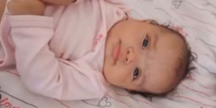 Vira-lata ataca e mata bebê que foi deixada dormindo sozinha no sofá de casa