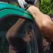 Vídeo: Policial dá bronca em fofoqueira que subiu na viatura para acompanhar ocorrência no Terra Nova