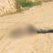 No Distrito 2, homem é achado com marcas de tortura e quatro tiros na cabeça