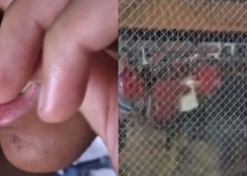 Vídeo mostra jovens sendo covardemente agredidos por grupo de estudantes em Manaus