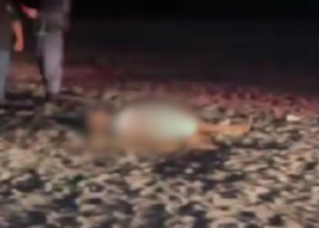 Jovem de 17 anos corre da morte, mas é alcançado por pistoleiros na zona oeste de Manaus