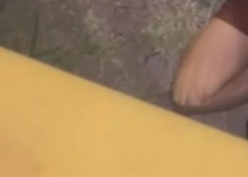 Motoqueiro bate a cabeça no meio-fio após mexer no celular pilotando em Manaus