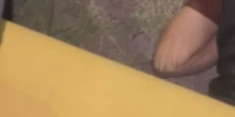 Motoqueiro bate a cabeça no meio-fio após mexer no celular pilotando em Manaus