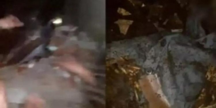 VÍDEO: Adolescentes brincam com cadáver e vandalizam túmulo