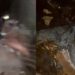 VÍDEO: Adolescentes brincam com cadáver e vandalizam túmulo