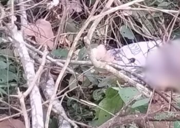 Pistoleiros do Valparaíso matam homem no meio do mato; assista o vídeo