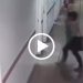 Câmera filma senhora que se passou por paciente para roubar celular de médica em UPA do Novo Aleixo