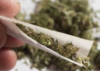 Porte de maconha para uso pessoal deixa de ser crime no Brasil, decide STF