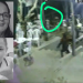 Vídeos mostram pistoleiros matando médica e empresária em bar de Coari e clientes desesperados; veja