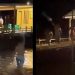 Vídeo: homem se joga no rio, sobe no flutuante e atira para acabar com briga 