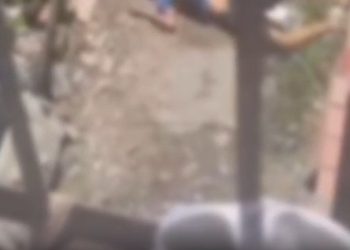 Vídeo forte: “K11 do Cidade de Deus” tem CPF cancelado em Manaus 