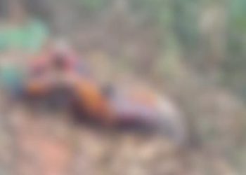 Polícia confirma que encontrou cabeça perto do local onde corpo foi achado em Manaus