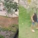 Homem tenta matar síndica a machadadas em Manaus, denuncia a vítima na polícia e vai preso