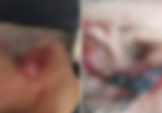 Orelhas de casal são arrancadas e jogadas para os bichos comerem no interior do Amazonas