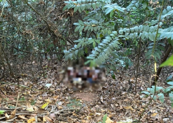 Amarrado e decapitad0: corpo de homem é encontrado na Zona Oeste de Manaus