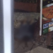 Corpo é encontrado jogado em frente de restaurante no bairro Compensa