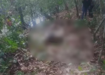 Corpo de homem amarrado e em decomposição é encontrado em igarapé na Zona Centro-Sul