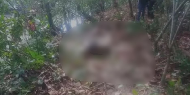 Corpo de homem amarrado e em decomposição é encontrado em igarapé na Zona Centro-Sul