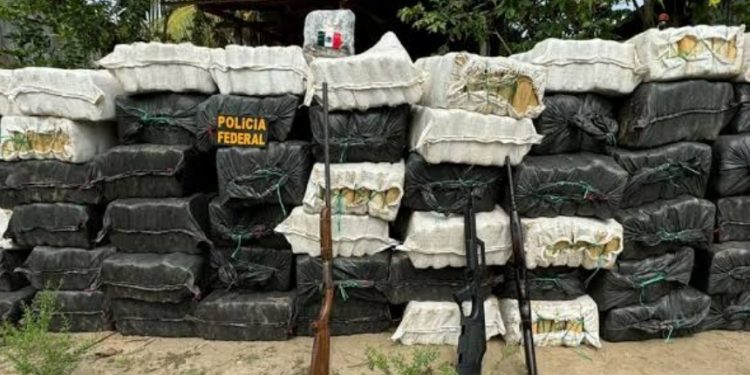 Polícia anuncia a maior apreensão de cocaína da história do Amazonas