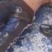 Vídeo: pintor despenca durante reforma de escola em Manaus e fica em estado grave