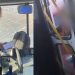 Vídeo: bandido quebra vidros de ônibus e ameaça matar motorista da Vegas em Manaus