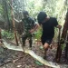 Vídeo: Em dois meses, segunda mulher é encontrada morta dentro de barriga de cobra