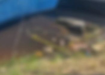 Vídeo: feirantes encontram cadáver boiando na Zona Sul de Manaus