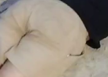 Vídeo: Homem é achado amarrado e com tiros na cabeça no Colônia Santo Antônio