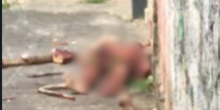 Homem que estupr0u menina de 6 anos morre a pedradas por moradores do Nova Vitória; veja o vídeo