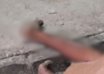 Imagem forte: ladrão morre após receber pedradas na população no bairro Cidade de Deus