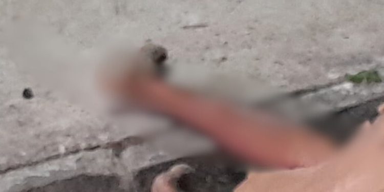 Imagem forte: ladrão morre após receber pedradas na população no bairro Cidade de Deus