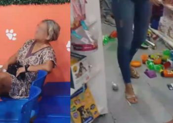 Vídeo: Policiais militares são acionados para conter idosa que 'quebrou tudo' em clínica veterinária na ZL