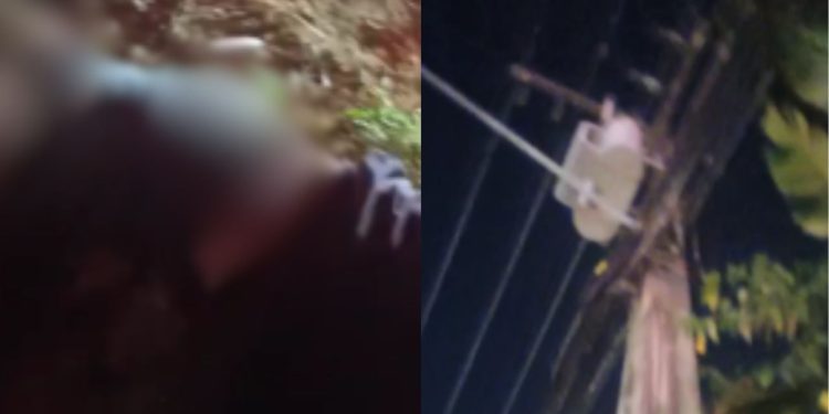 Ladrão de fios fica gritando por socorro após ser eletrocutado em poste no Tarumã; veja o vídeo
