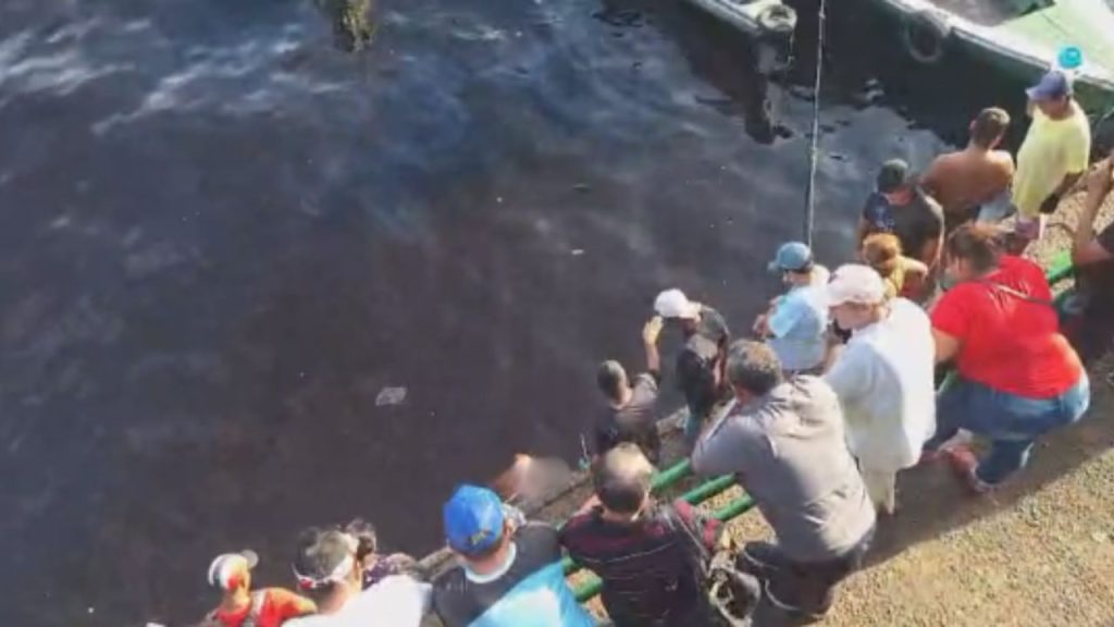 VÍDEO: Corpo de homem só de sunga é achado na Manaus Moderna próximo a Balsa Verde