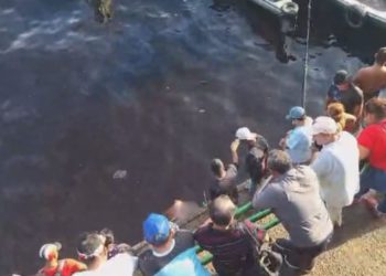 VÍDEO: Corpo de homem só de sunga é achado na Manaus Moderna próximo a Balsa Verde