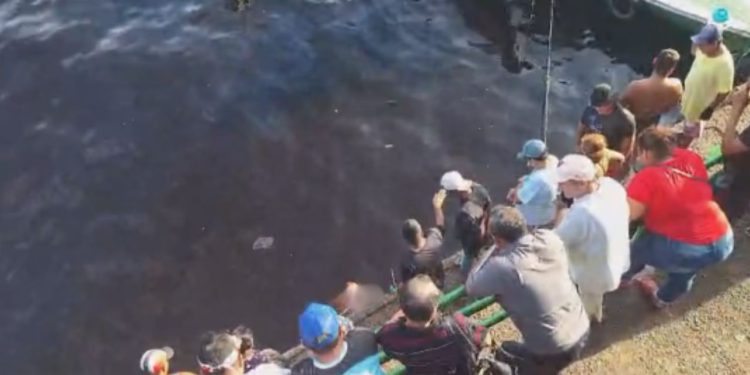 VÍDEO: Corpo de homem só de sunga é achado na Manaus Moderna próximo a Balsa Verde