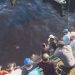 VÍDEO: Corpo de homem só de sunga é achado na Manaus Moderna próximo a Balsa Verde