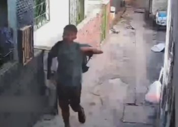 Câmera filma homem jogando pedra em gato por pura maldade em beco do Coroado