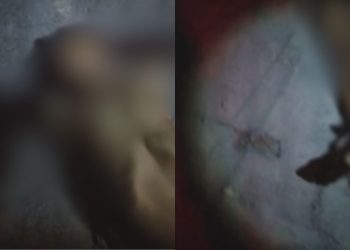 VÍDEO: Casal encontra jovem de 23 anos só de cueca e morto em calçada perto do Musa