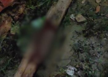 População da ZL mata ladrão na paulada até afundar o crânio