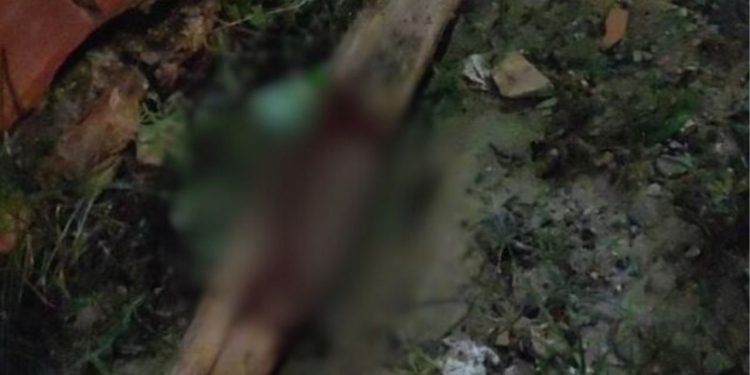 População da ZL mata ladrão na paulada até afundar o crânio
