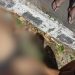Após bater a cabeça em acidente no Novo, motociclista não resiste a ferimentos e morre no hospital