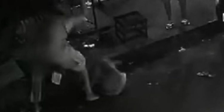 Justiça manda prender homem que matou cachorro esfaqueado na zona oeste de Manaus; VÍDEO