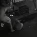 Justiça manda prender homem que matou cachorro esfaqueado na zona oeste de Manaus; VÍDEO
